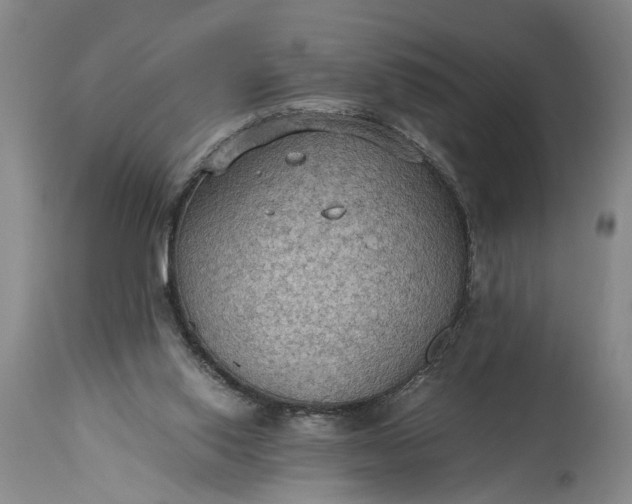X0000115410062200911171409