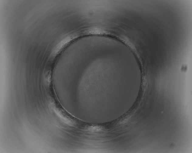 X0000115410063200911171409