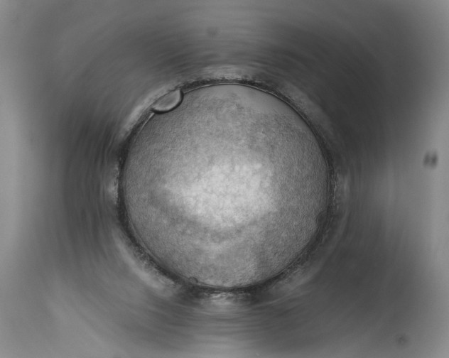 X0000115410064200911171409