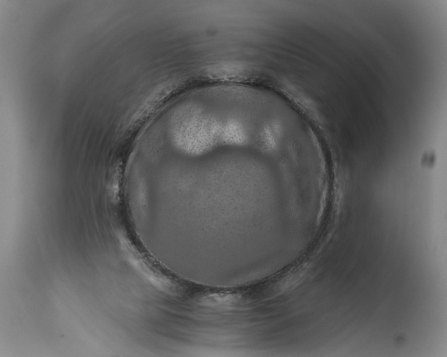 X0000115410065200911171409