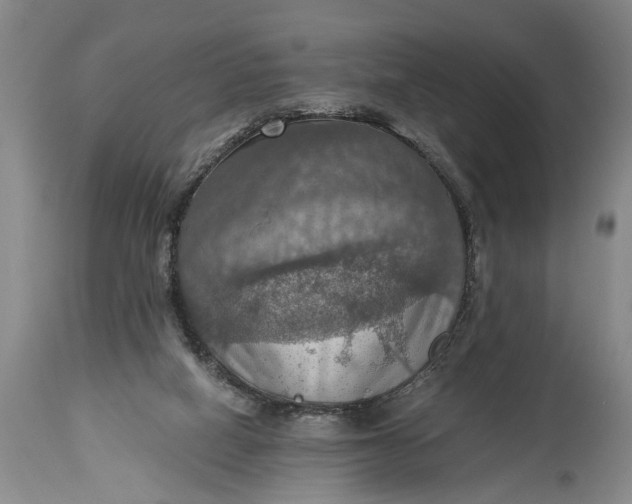 X0000115410066200911171409