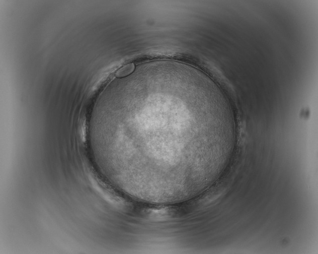 X0000115410068200911171409