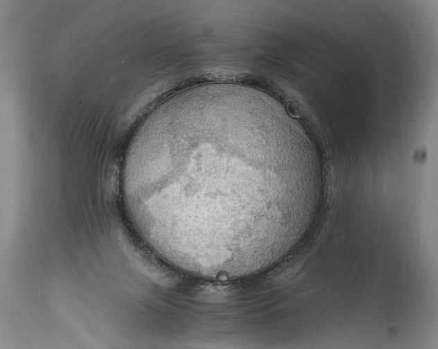 X0000115410071200911171409