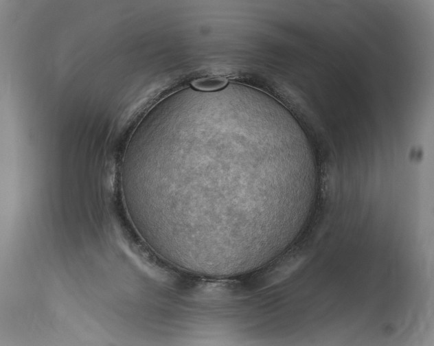 X0000115410072200911171409