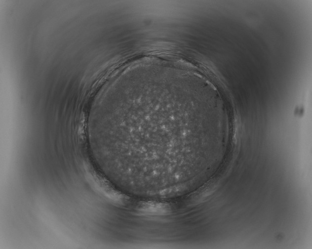 X0000115410073200911171409