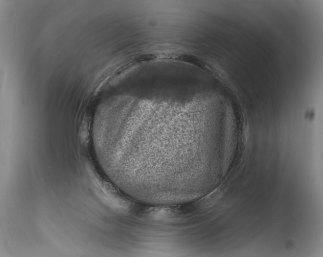 X0000115410074200911171409
