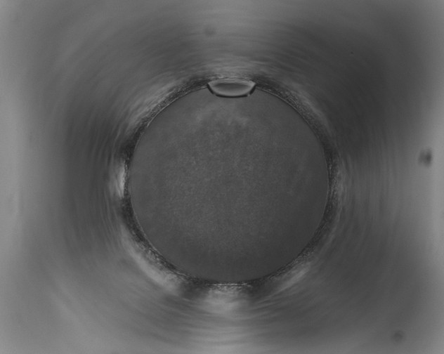 X0000115410076200911171409