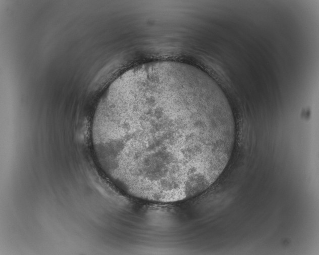 X0000115410077200911171409