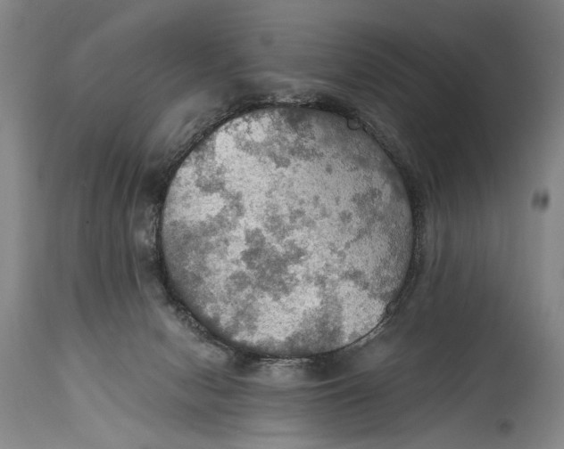 X0000115410078200911171409
