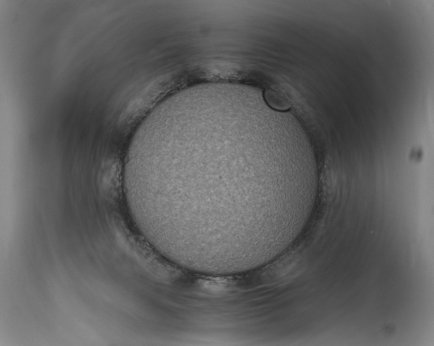 X0000115410079200911171409