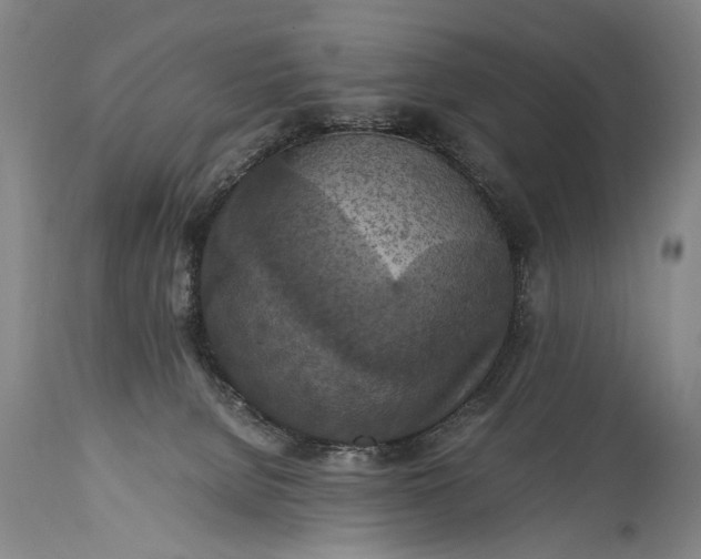 X0000115410080200911171410