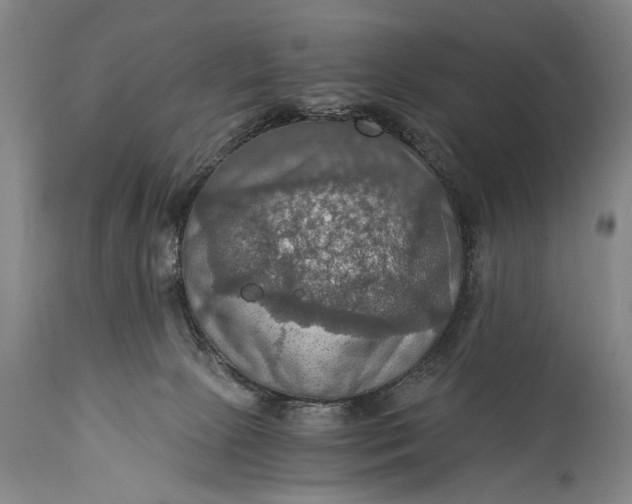X0000115410081200911171410