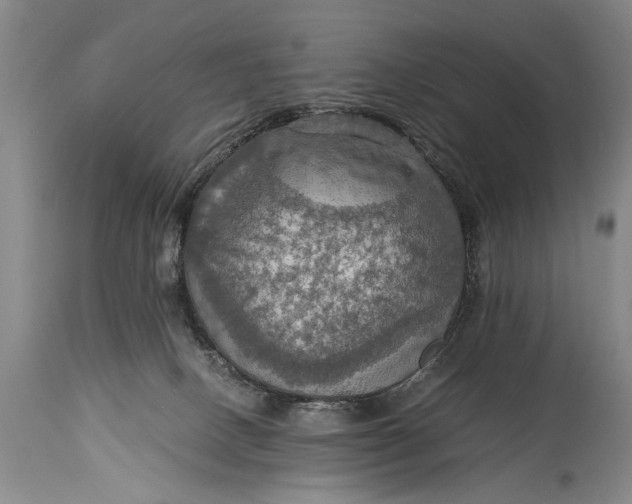 X0000115410082200911171410