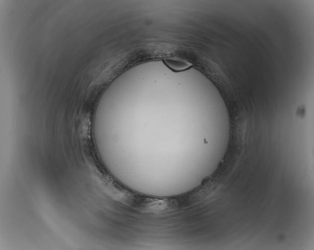 X0000115410083200911171410