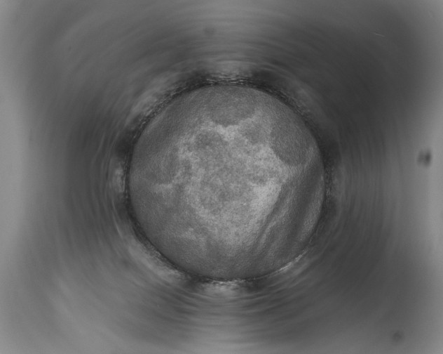 X0000115410086200911171410