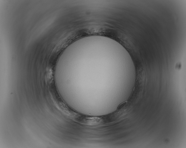 X0000115410087200911171410