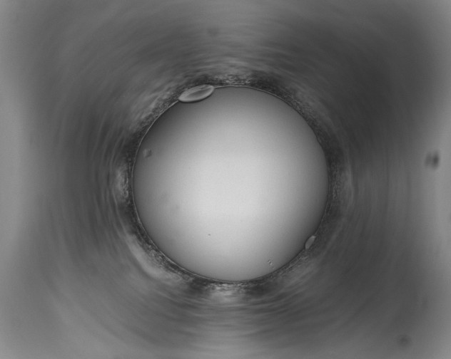 X0000115410088200911171410