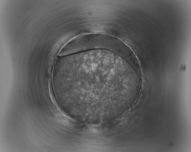 X0000115410097200911171409