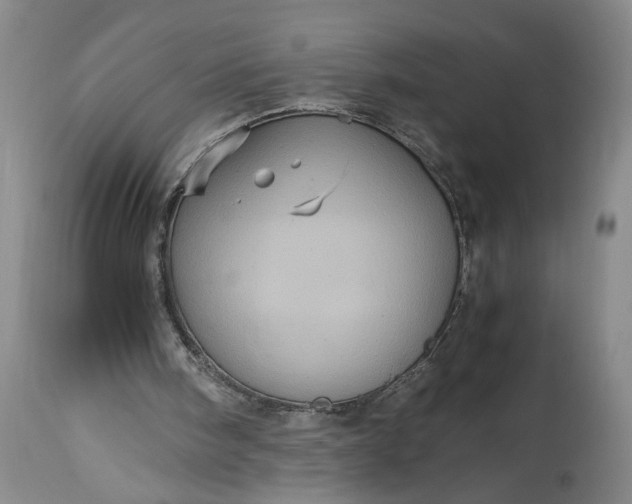 X0000115410098200911171409