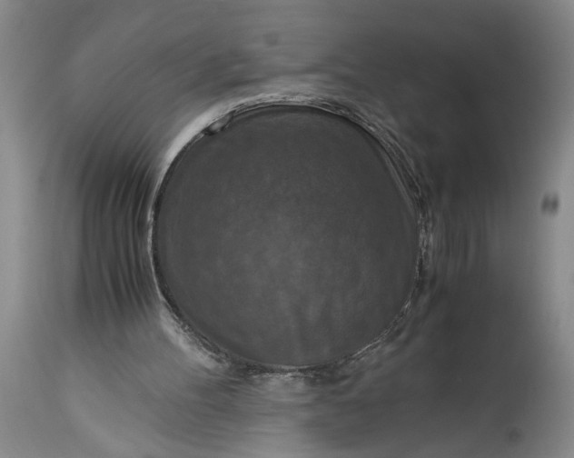 X0000115410100200911171409