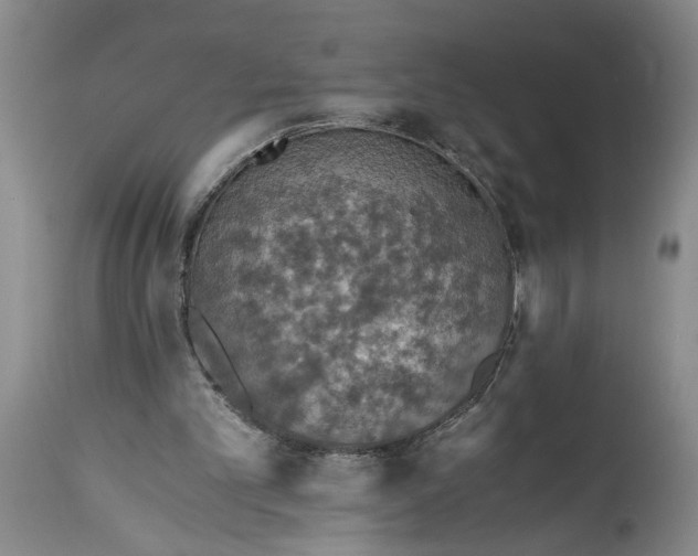X0000115410101200911171409