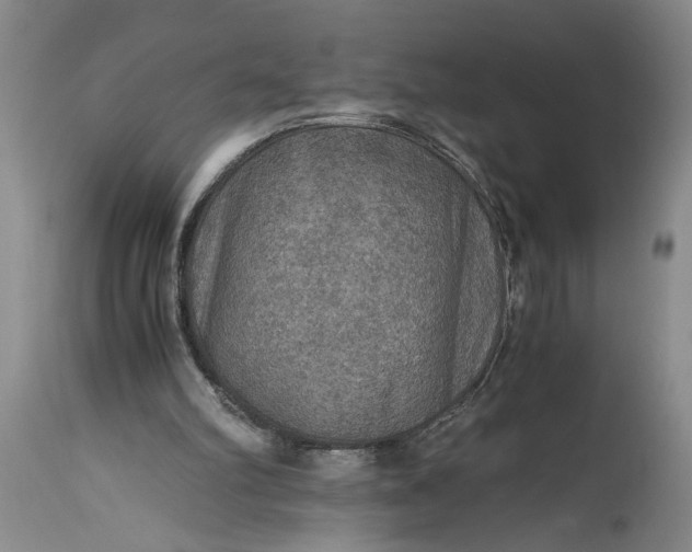 X0000115410102200911171409