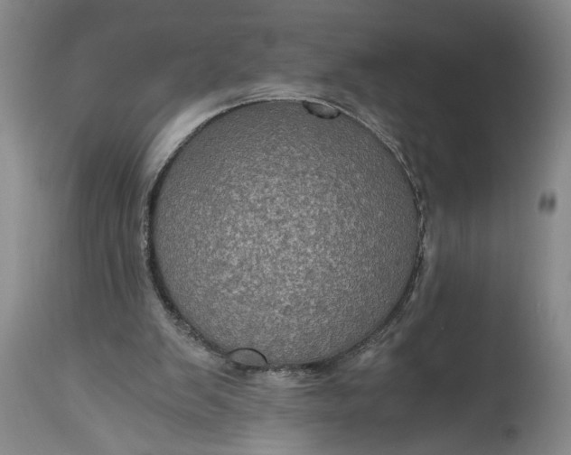 X0000115410103200911171409