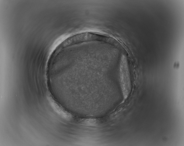 X0000115410104200911171409