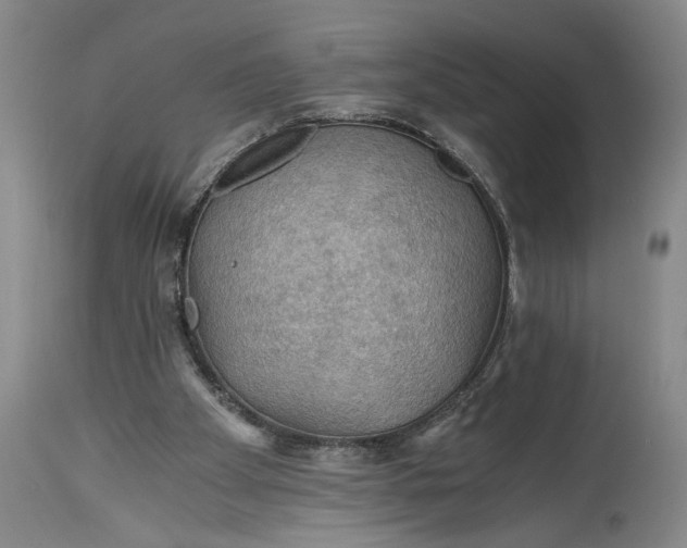 X0000115410105200911171409