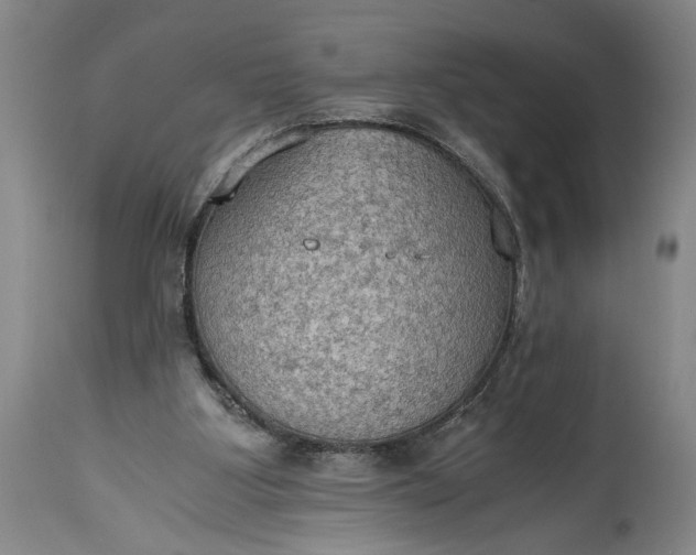 X0000115410107200911171409