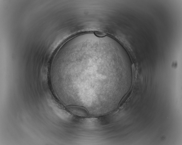 X0000115410108200911171409