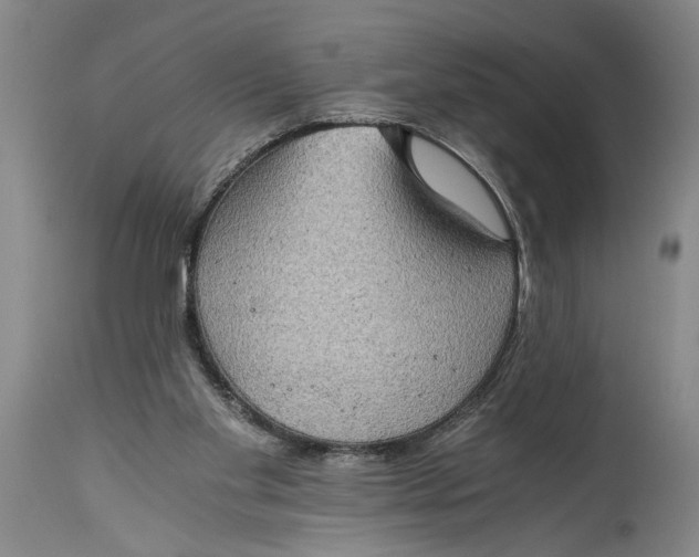 X0000115410109200911171409