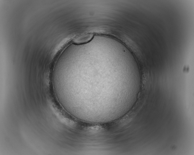 X0000115410112200911171409