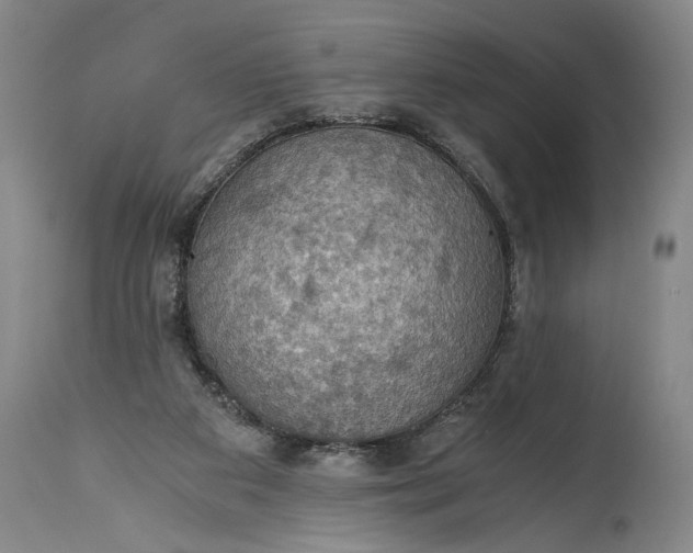 X0000115410113200911171409