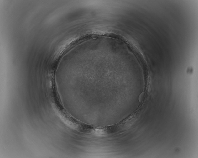X0000115410114200911171409