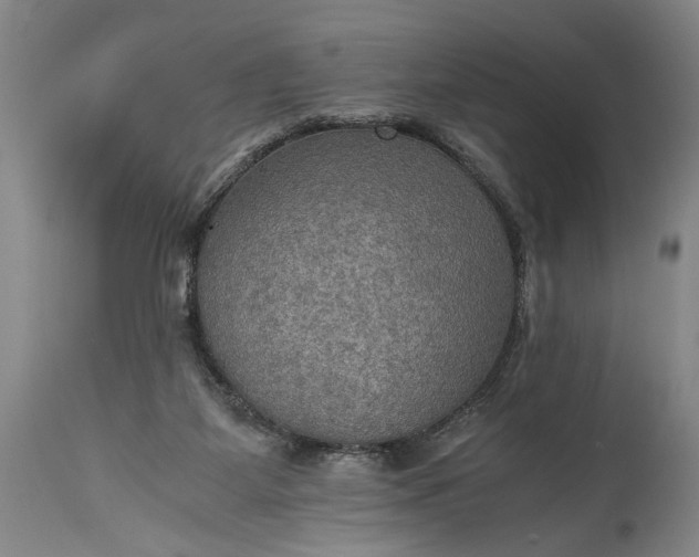 X0000115410115200911171409