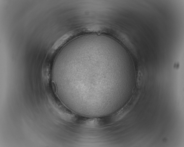 X0000115410116200911171409