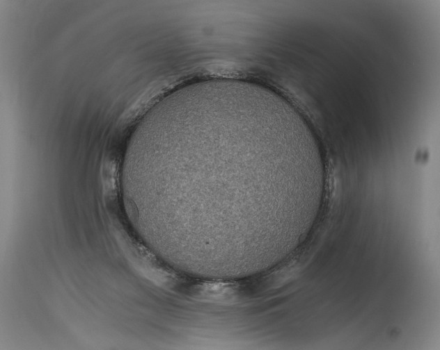 X0000115410117200911171409