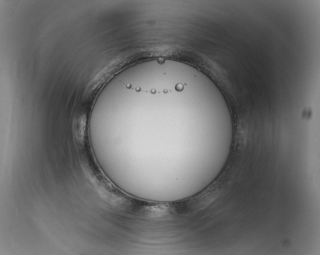 X0000115410118200911171409