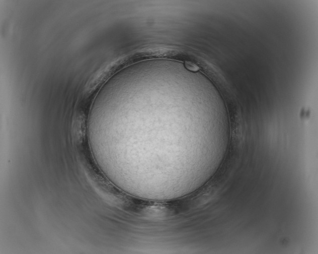 X0000115410119200911171409