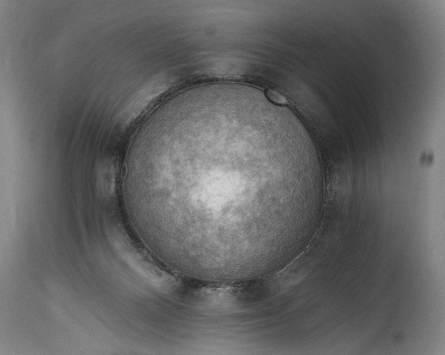 X0000115410120200911171409