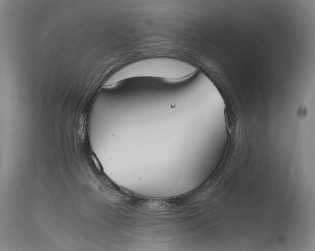 X0000115410121200911171409