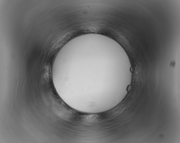 X0000115410122200911171409