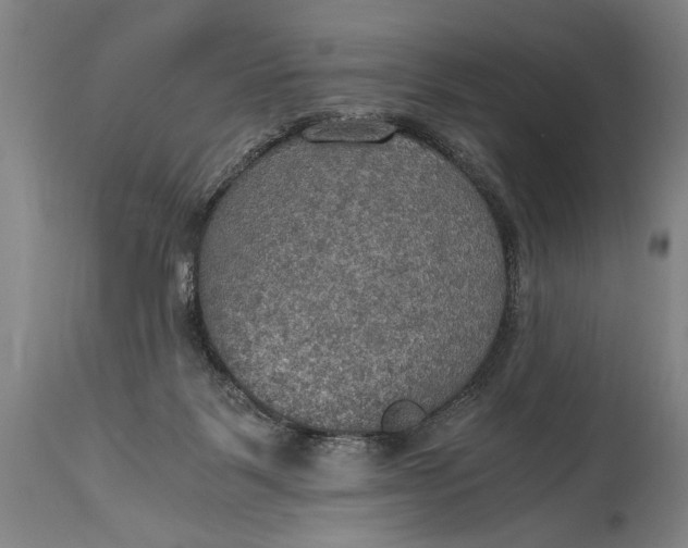 X0000115410123200911171409