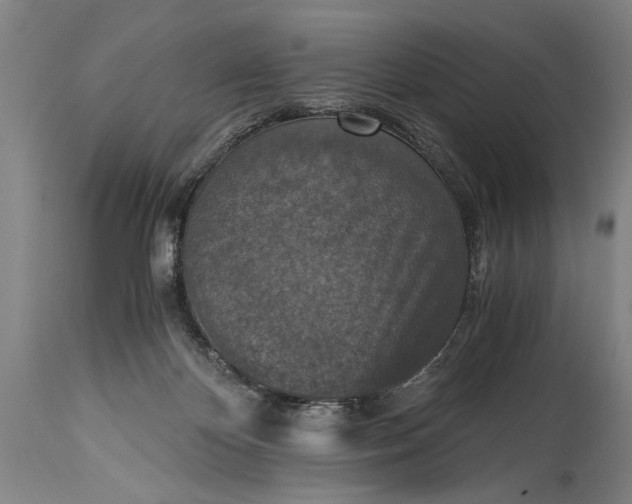 X0000115410124200911171409