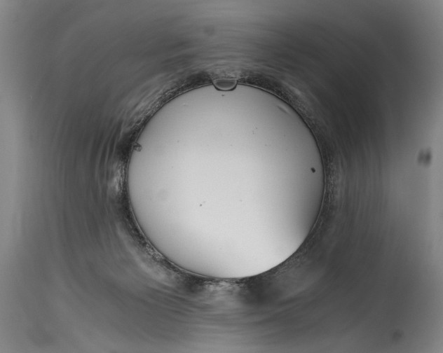 X0000115410125200911171409