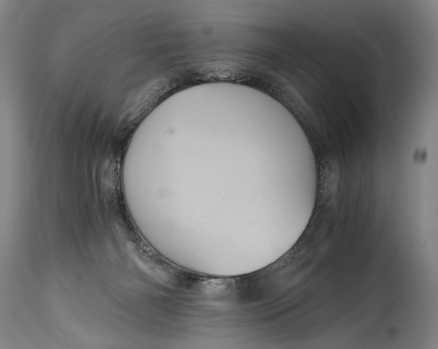 X0000115410126200911171409