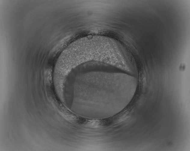 X0000115410127200911171409