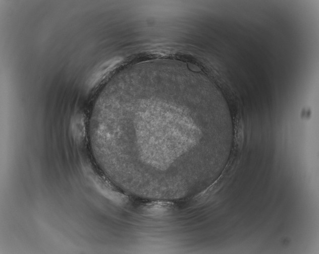 X0000115410128200911171409