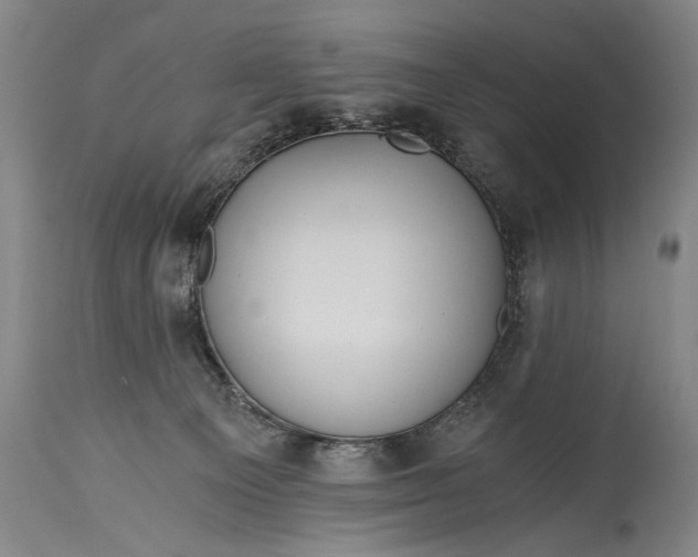 X0000115410129200911171409